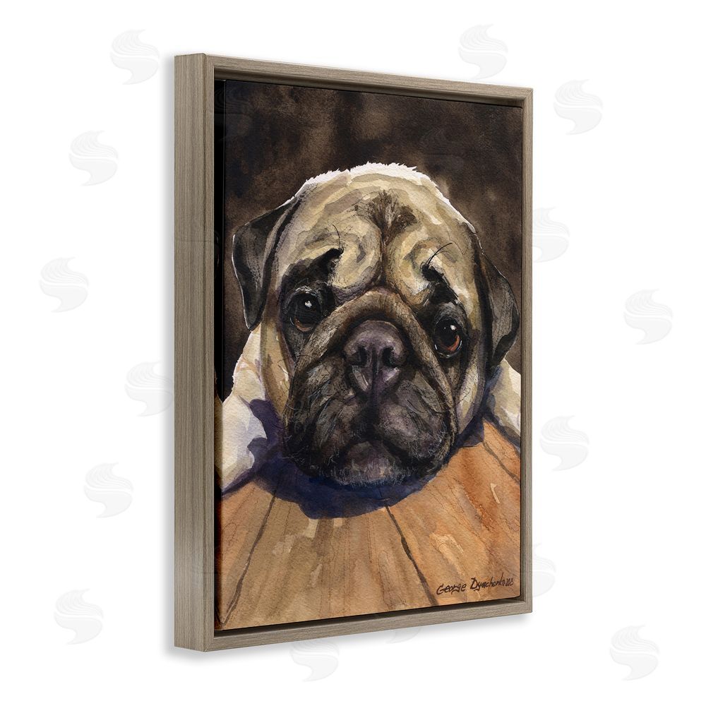 George Dyachenko Pug Soulful Portrait Brown Floating Frame Canvas Wall Art Print