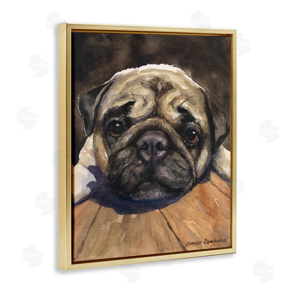 George Dyachenko Pug Soulful Portrait Gold Floating Frame Canvas Wall Art Print