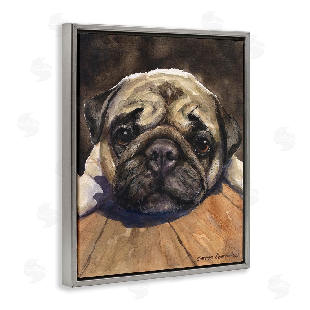 George Dyachenko Pug Soulful Portrait Gray Floating Frame Canvas Wall Art Print