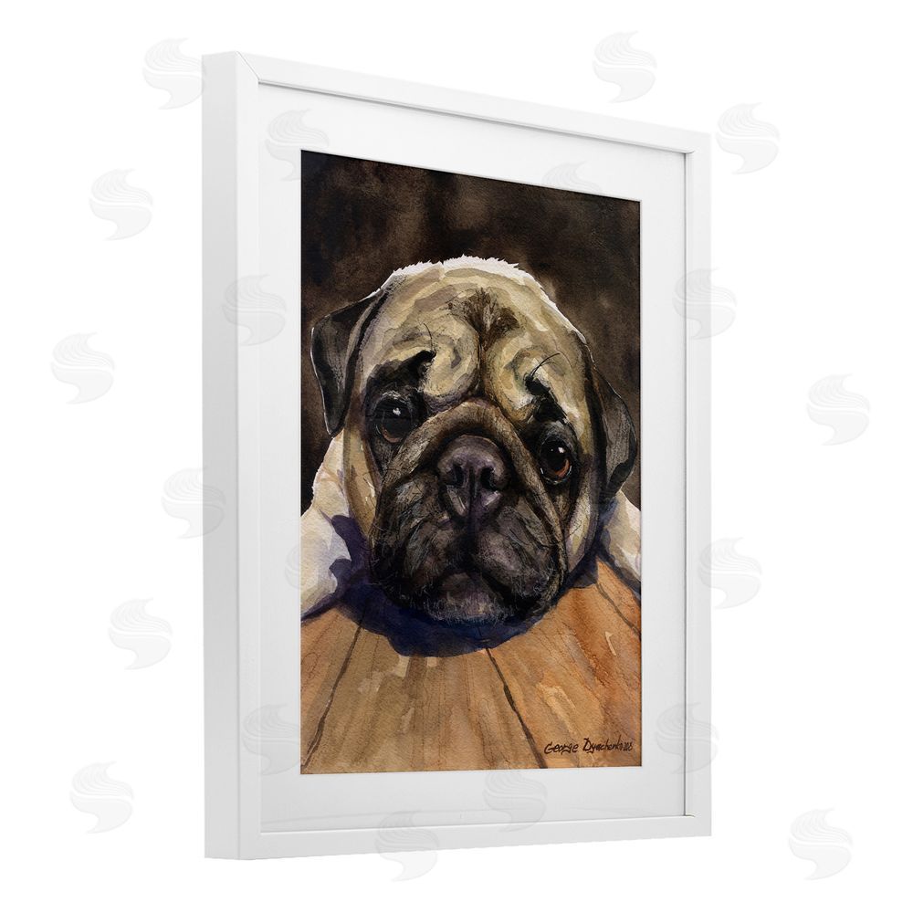 George Dyachenko Pug Soulful Portrait White Framed Print Under Glass Wall Art