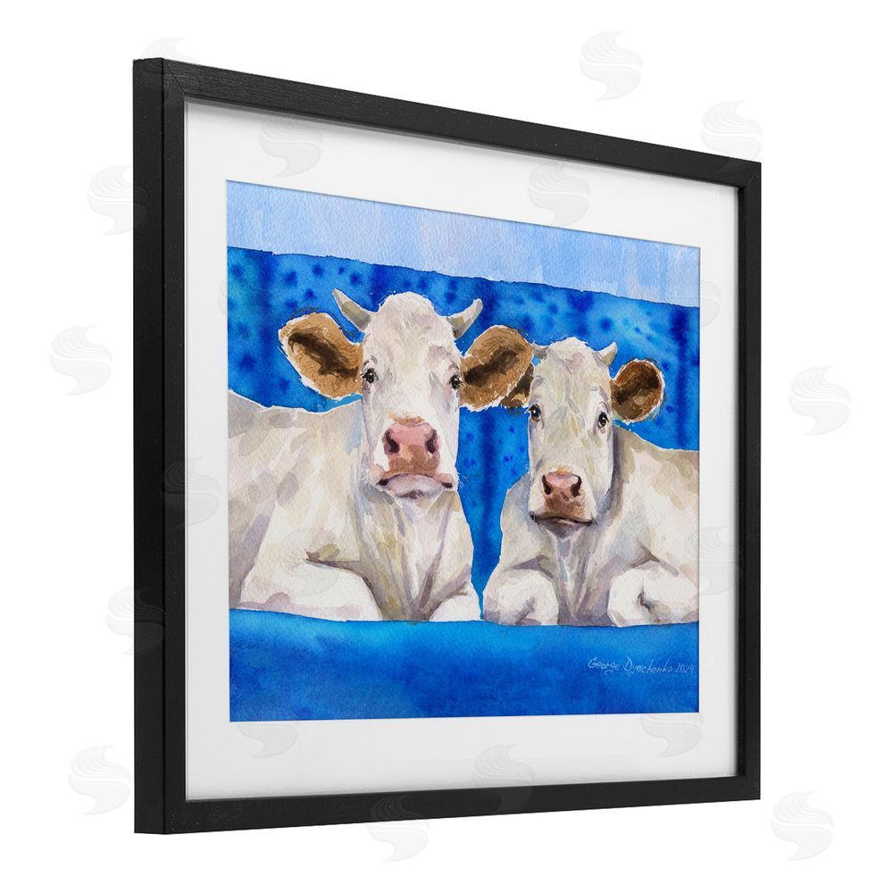 George Dyachenko White Cows on Blue Sofa Black Framed Print Under Glass Wall Art