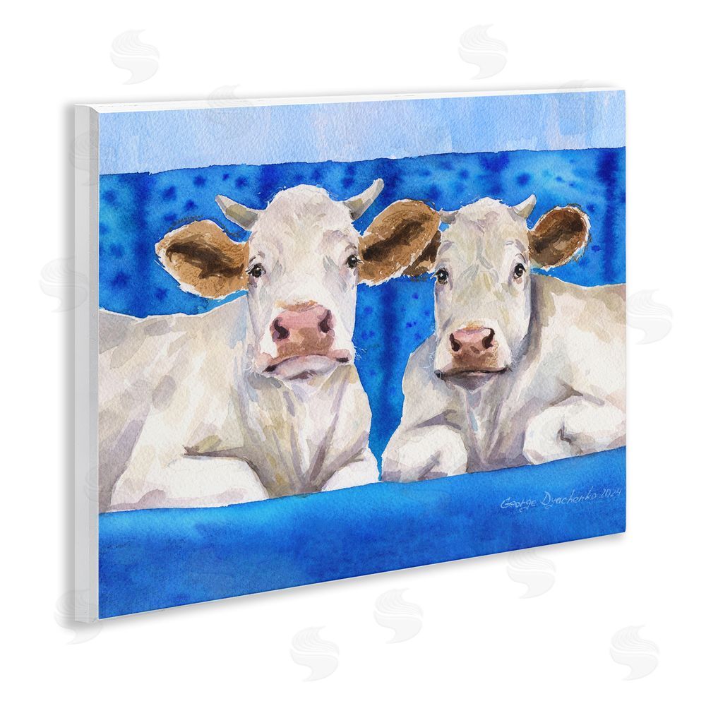 George Dyachenko White Cows on Blue Sofa Wall Plaque Art Print