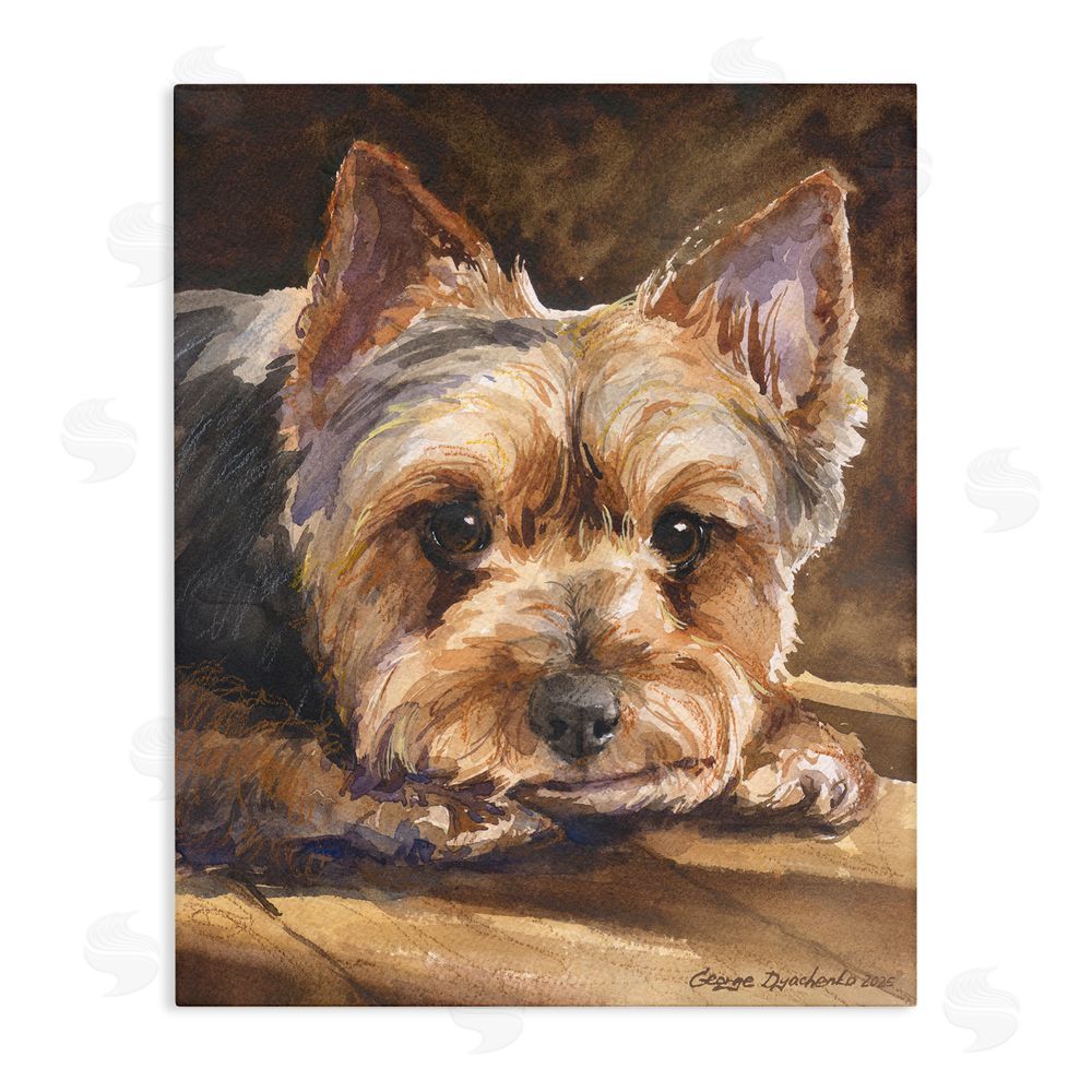George Dyachenko Yorkshire Terrier Portrait Stretched Canvas Wall Art Print