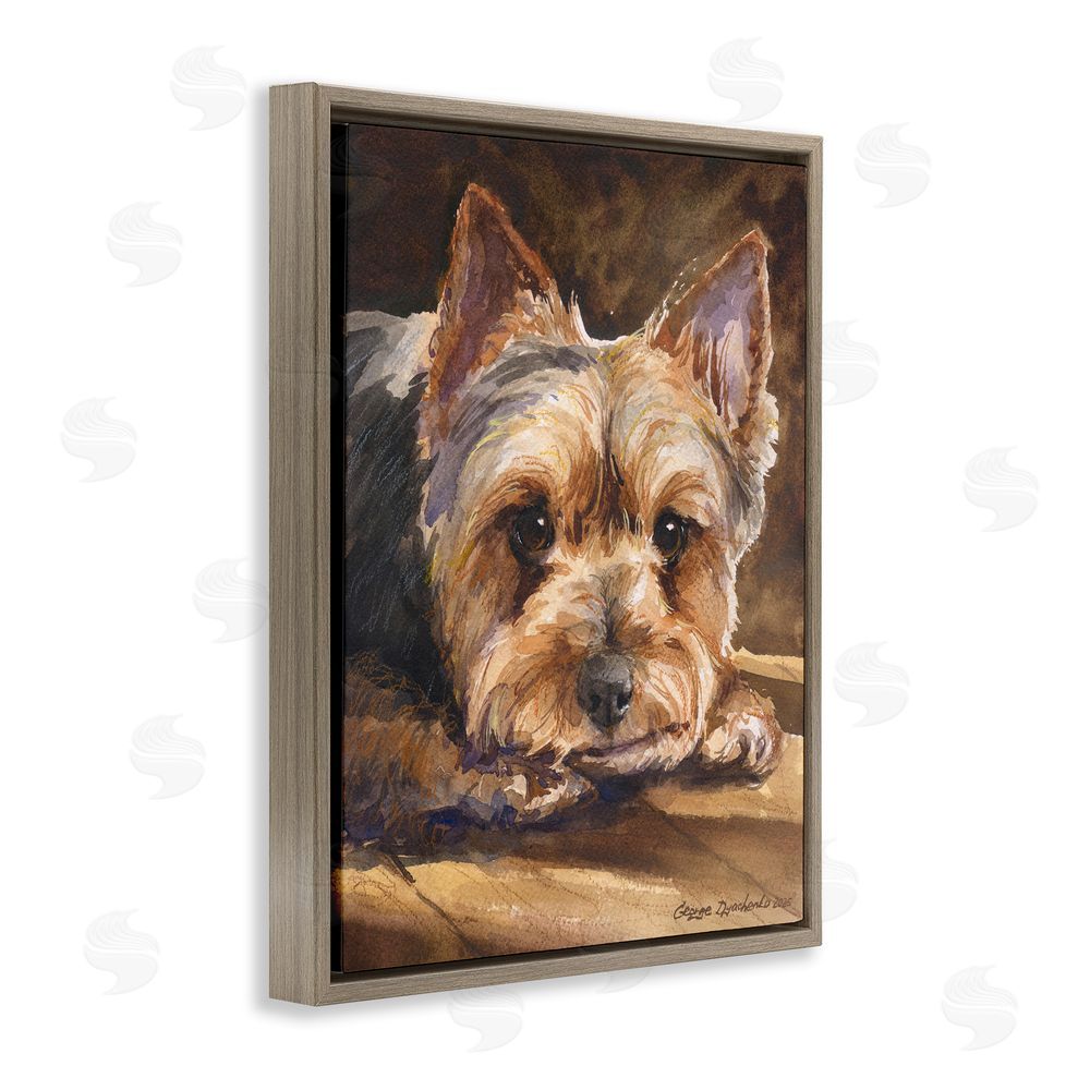 George Dyachenko Yorkshire Terrier Portrait Brown Floating Frame Stretched Canvas Wall Art Print