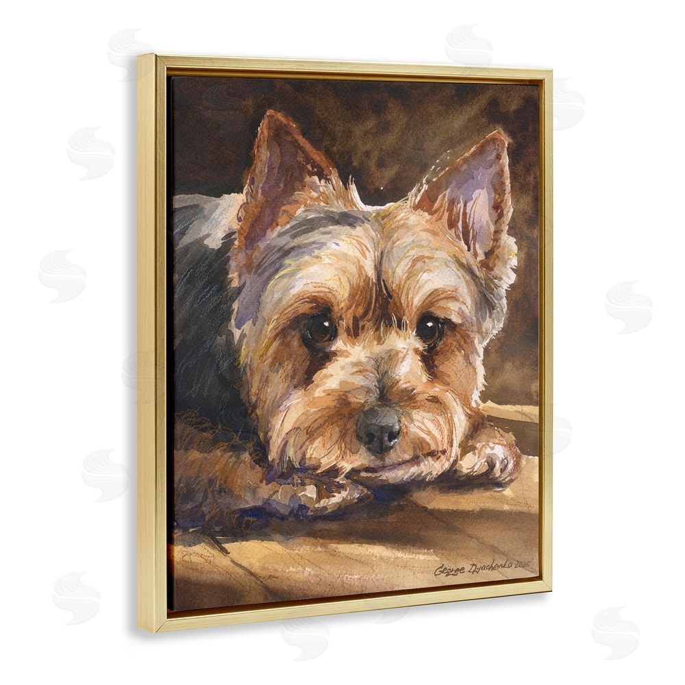 George Dyachenko Yorkshire Terrier Portrait Gold Floating Frame Stretched Canvas Wall Art Print