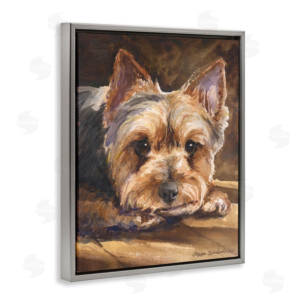 George Dyachenko Yorkshire Terrier Portrait Gray Floating Frame Stretched Canvas Wall Art Print
