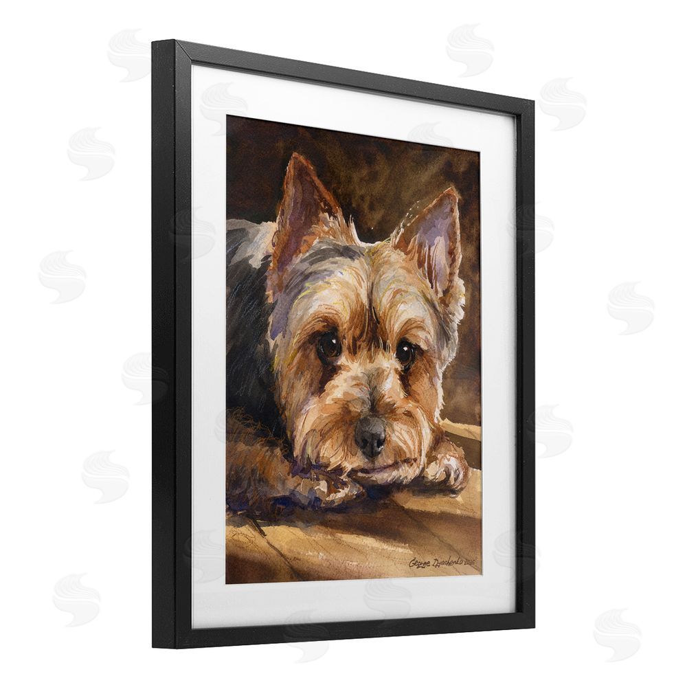 George Dyachenko Yorkshire Terrier Portrait Black Framed Print Under Glass with Matting Wall Art