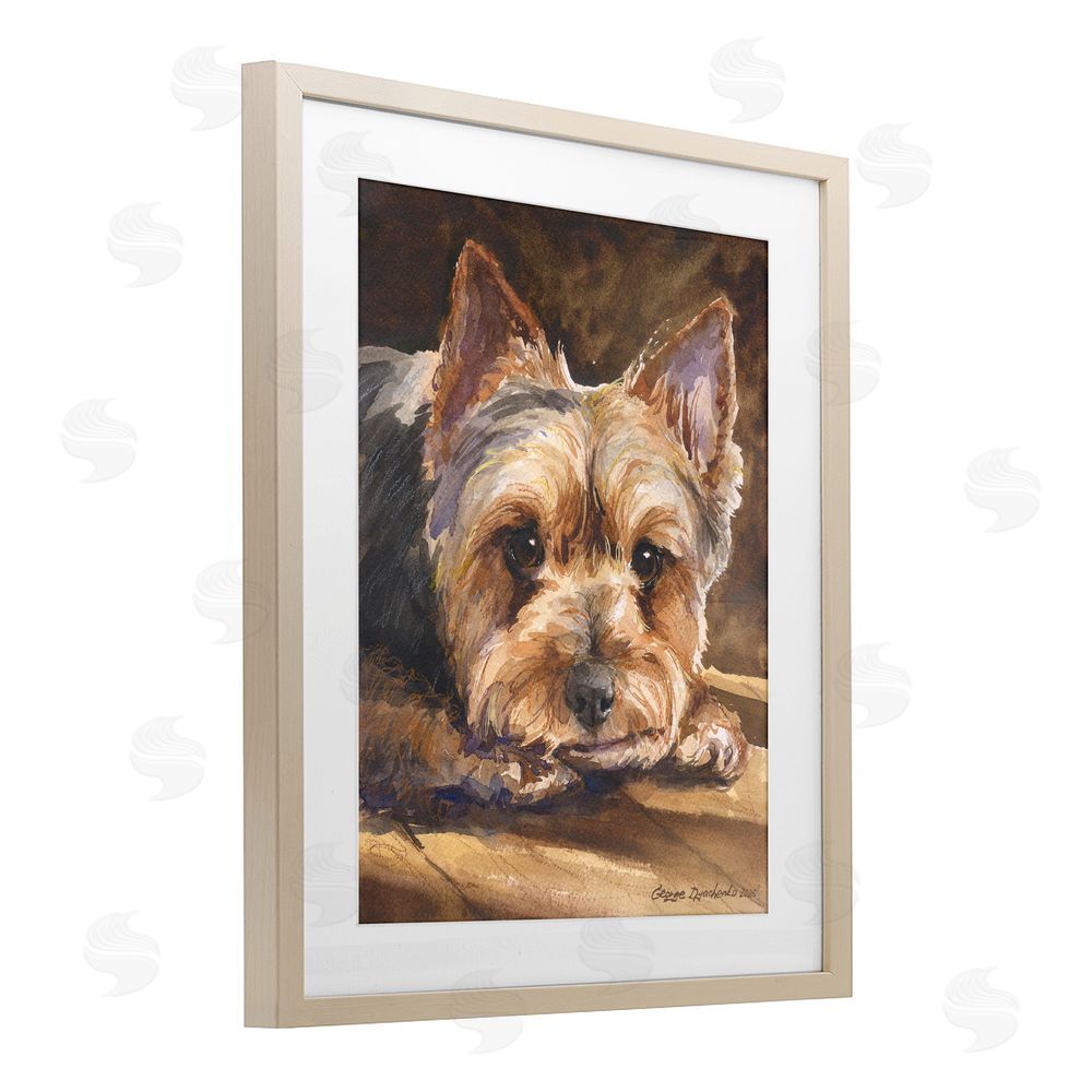 George Dyachenko Yorkshire Terrier Portrait Brown Framed Print Under Glass with Matting Wall Art