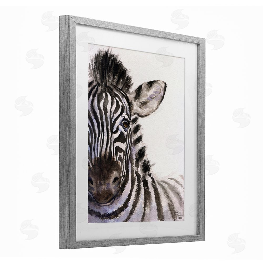 George Dyachenko Zebra Portrait on White Gray Framed Print Under Glass with Matting Wall Art