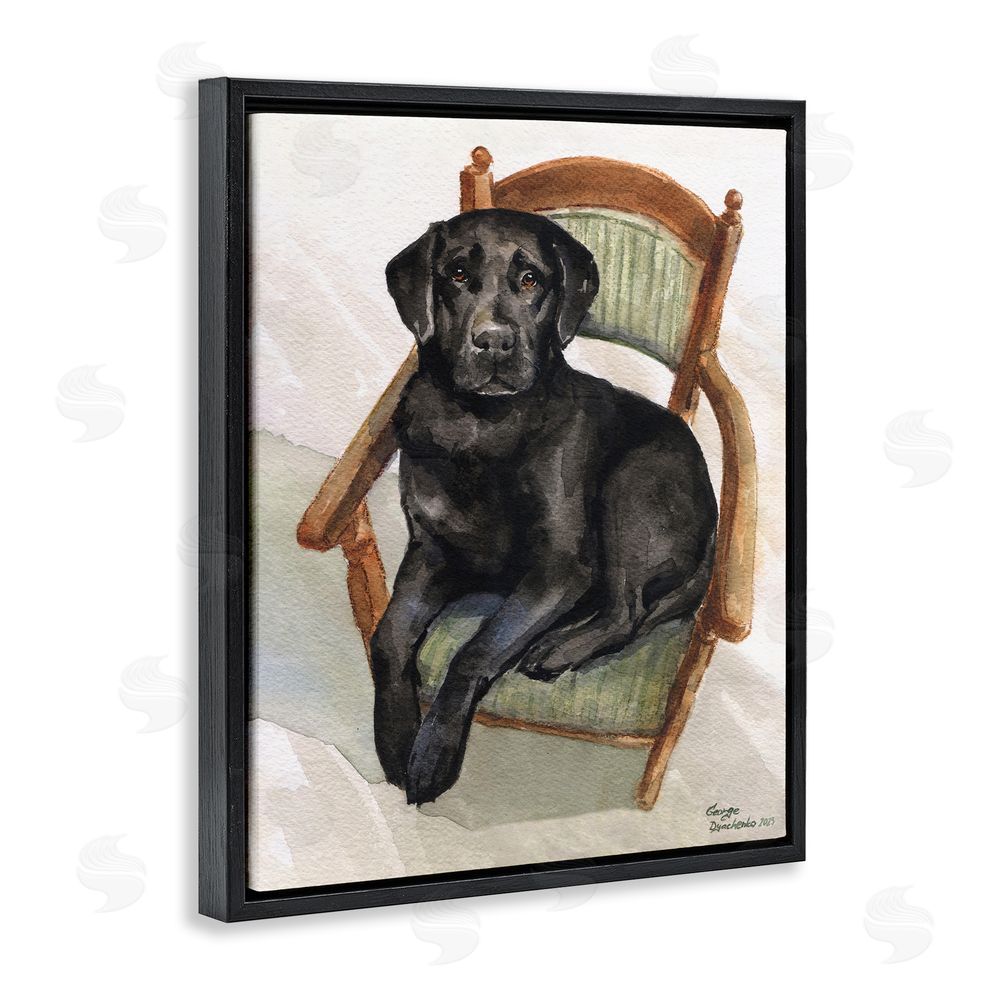 George Dyachenko Black Labrador On Chair Black Floating Frame Canvas Wall Art Print