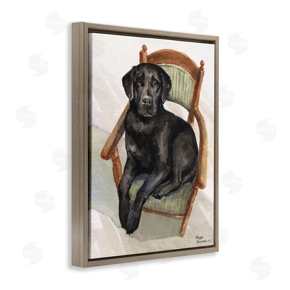 George Dyachenko Black Labrador On Chair Brown Floating Frame Canvas Wall Art Print