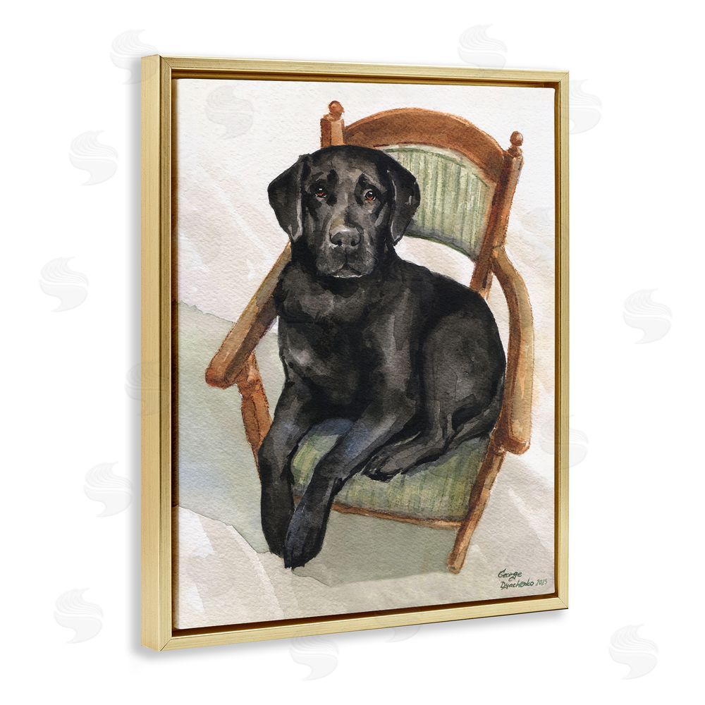 George Dyachenko Black Labrador On Chair Gold Floating Frame Canvas Wall Art Print