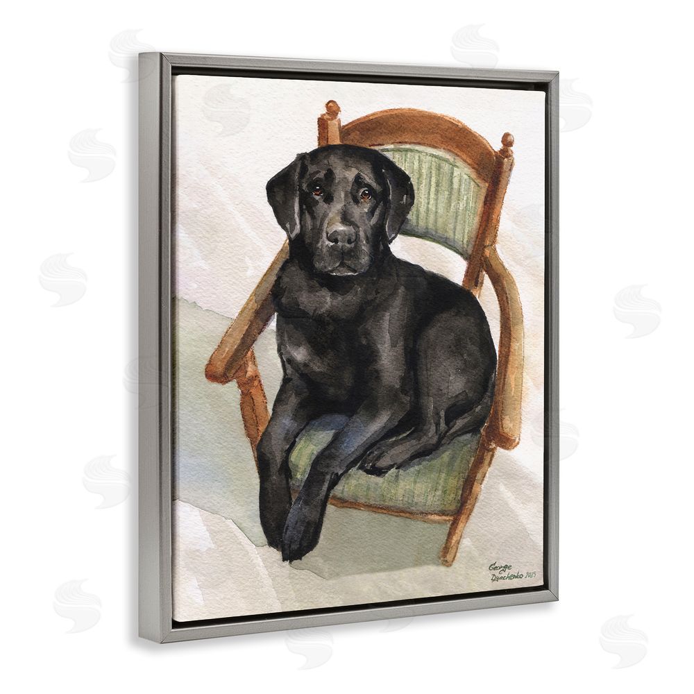 George Dyachenko Black Labrador On Chair Gray Floating Frame Canvas Wall Art Print