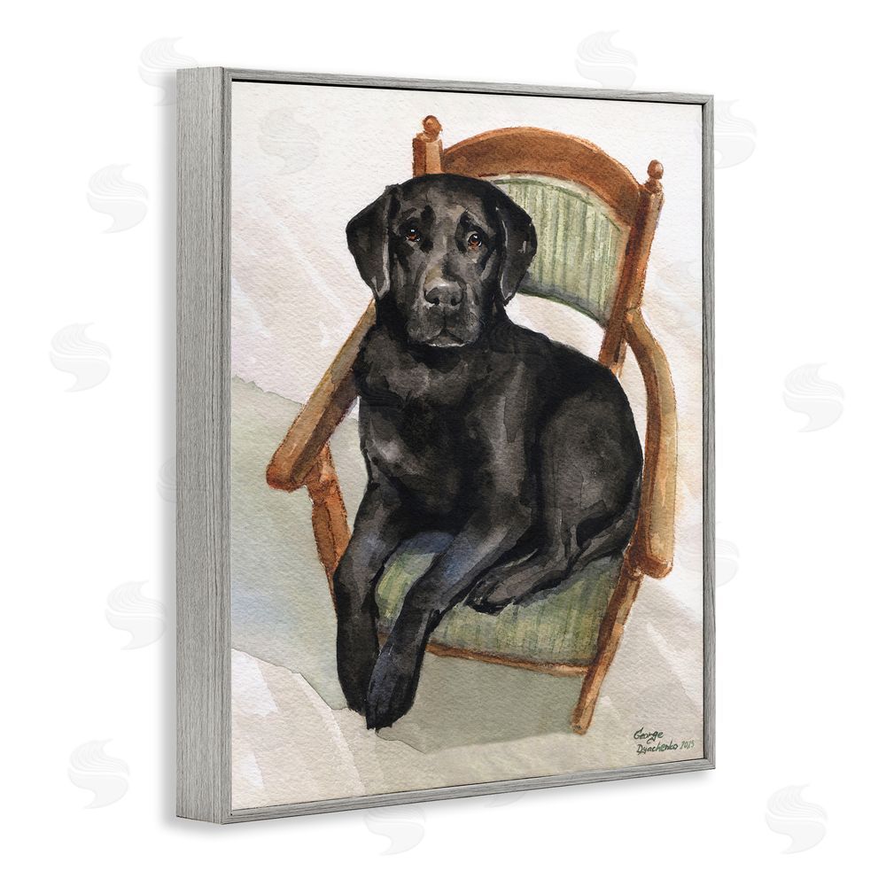 George Dyachenko Black Labrador On Chair Gray Framed Giclee Wall Art Print