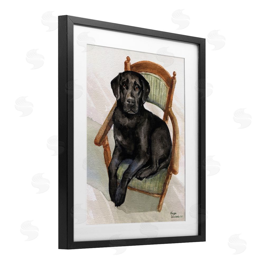 George Dyachenko Black Labrador On Chair Black Framed Print Under Glass Wall Art