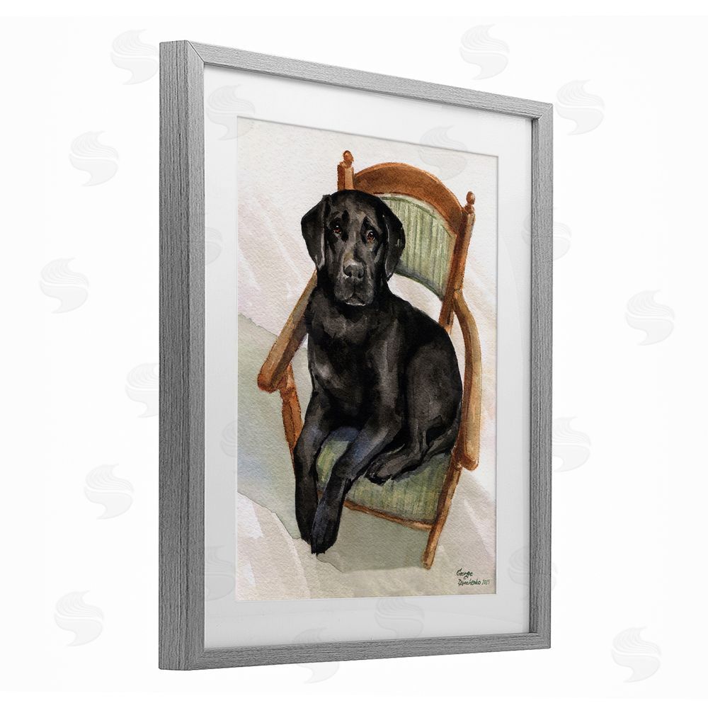 George Dyachenko Black Labrador On Chair Gray Framed Print Under Glass Wall Art