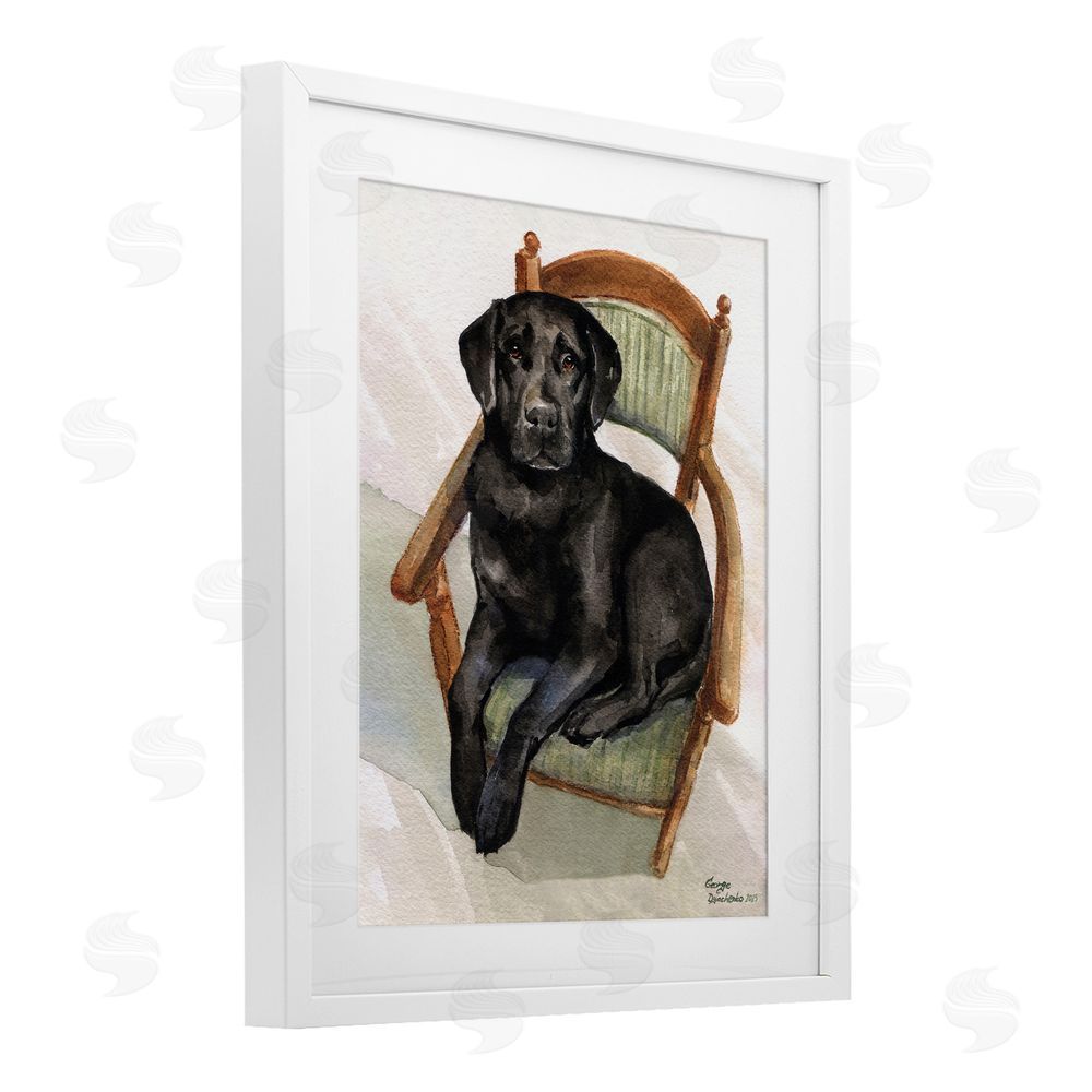 George Dyachenko Black Labrador On Chair White Framed Print Under Glass Wall Art