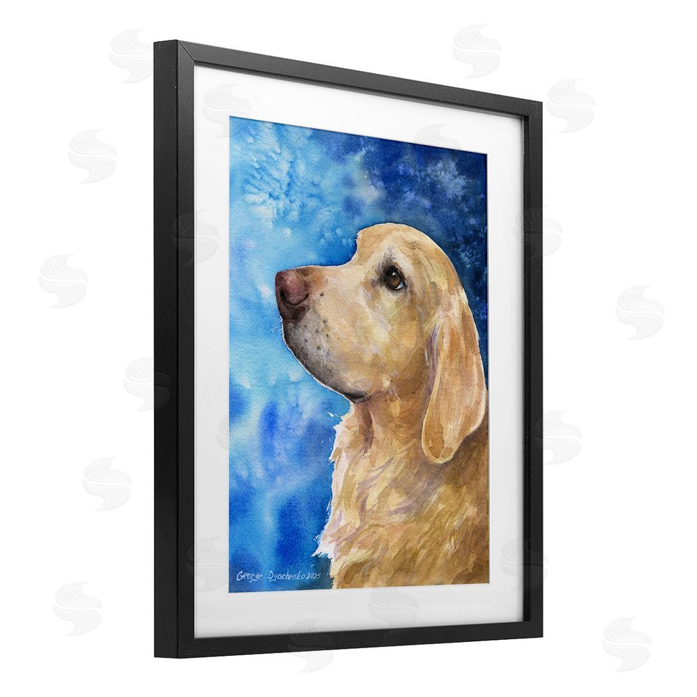 George Dyachenko Golden Retriever Portrait on Azure Black Framed Print Under Glass Wall Art