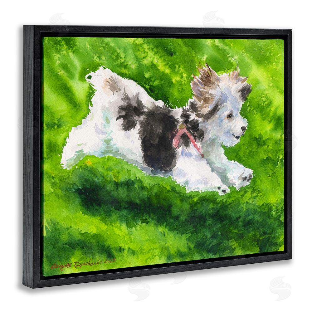 George Dyachenko Happy Maltipoo Running Black Floating Frame Canvas Wall Art