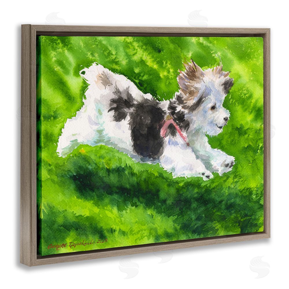 George Dyachenko Happy Maltipoo Running Brown Floating Frame Canvas Wall Art