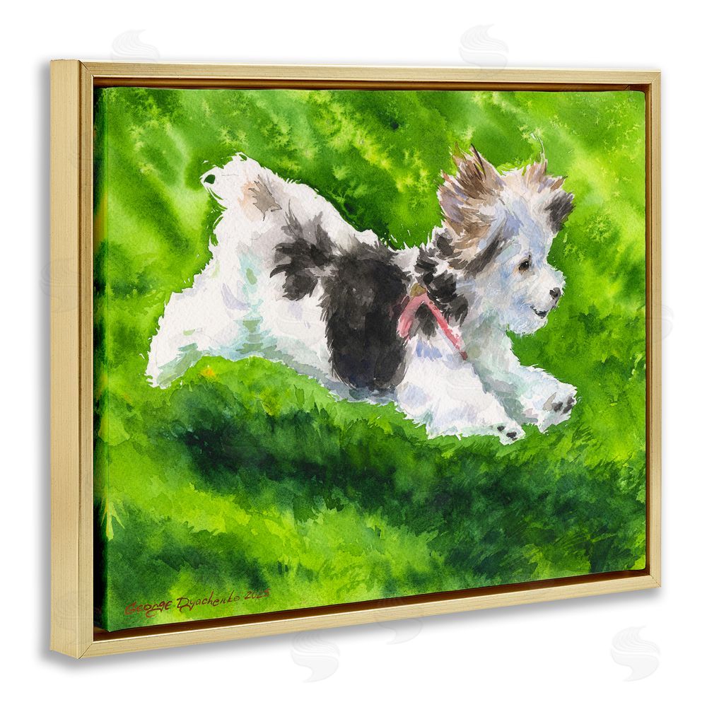George Dyachenko Happy Maltipoo Running Gold Floating Frame Canvas Wall Art