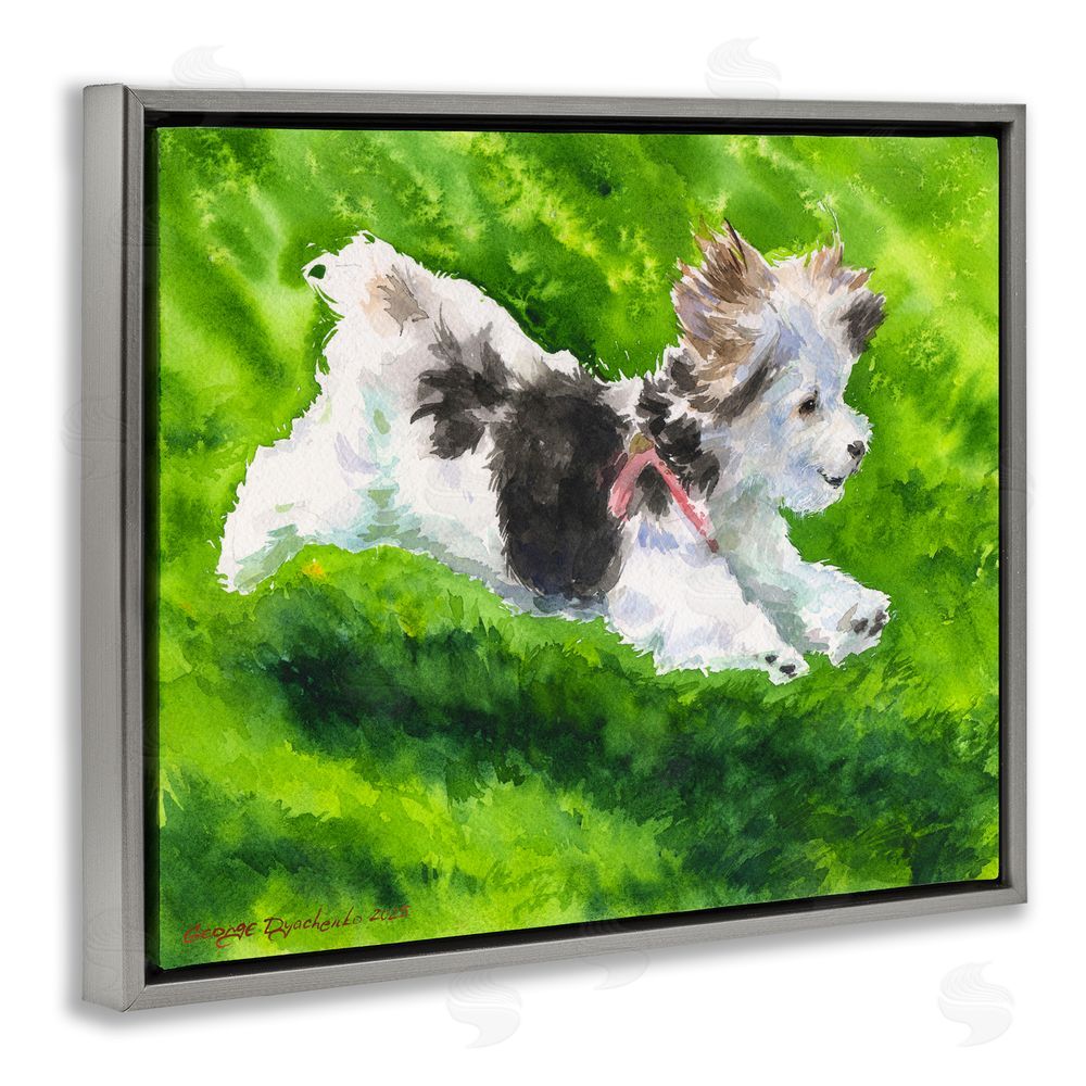 George Dyachenko Happy Maltipoo Running Gray Floating Frame Canvas Wall Art