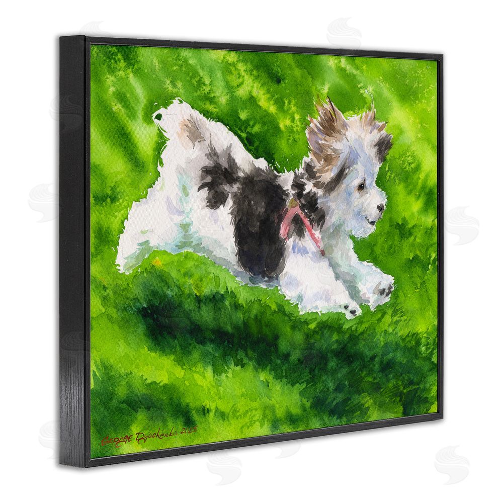 George Dyachenko Happy Maltipoo Running Blacked Framed Giclee Wall Art Print