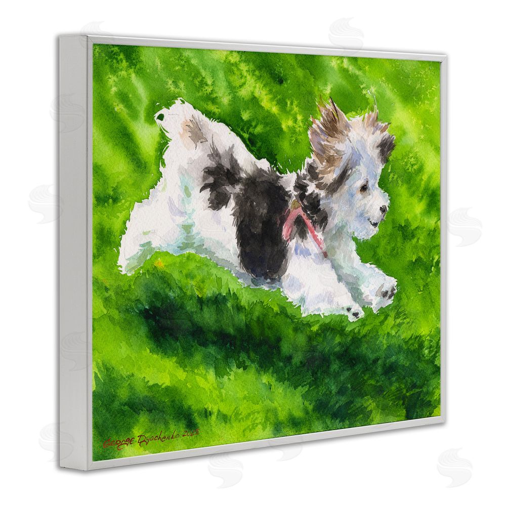 George Dyachenko Happy Maltipoo Running White Framed Giclee Wall Art Print