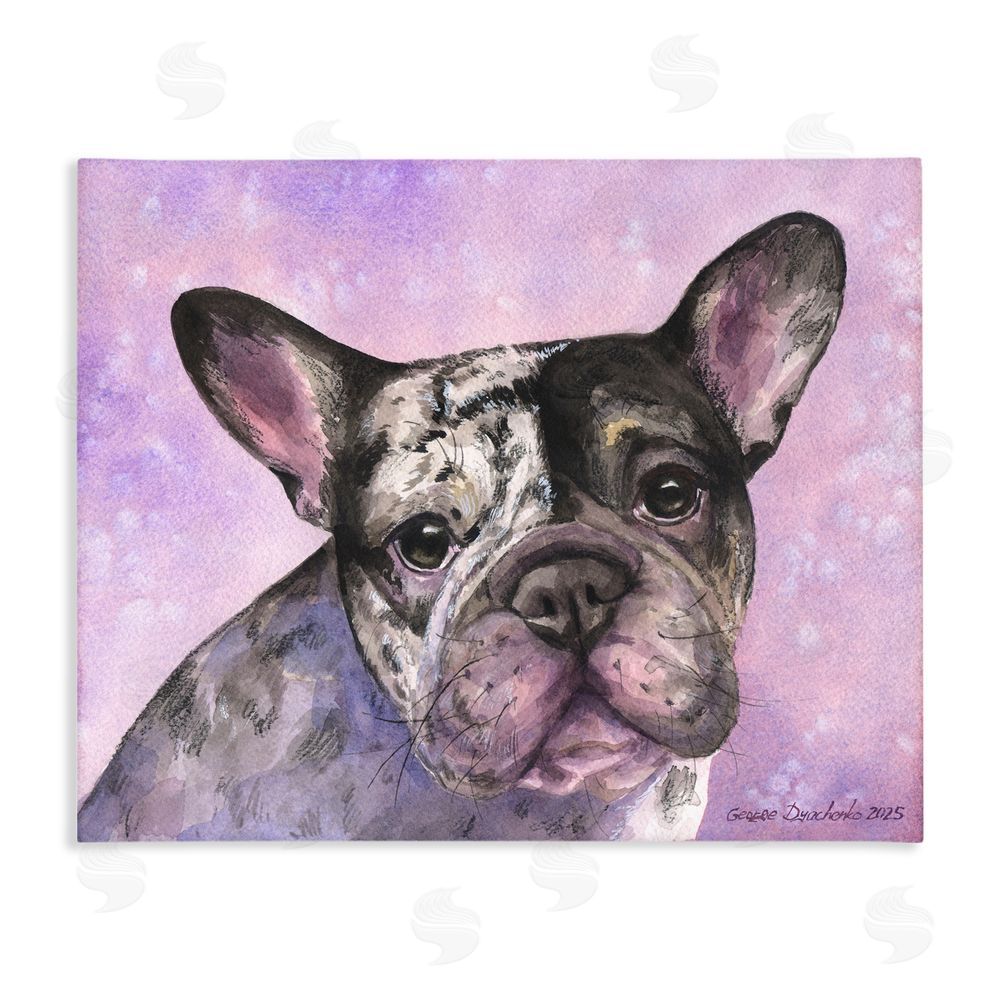 George Dyachenko Harlequin French Bulldog Stretched Canvas Wall Art