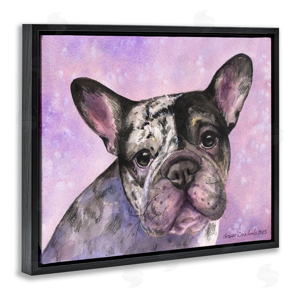 George Dyachenko Harlequin French Bulldog Black Floating Frame Canvas Wall Art