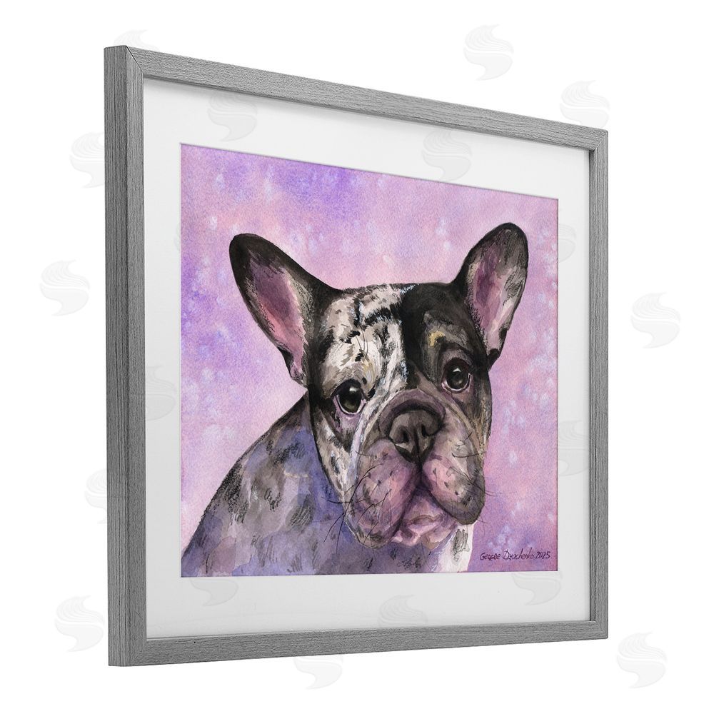 George Dyachenko Harlequin French Bulldog Gray Framed Print Under Glass with Mat Wall Art