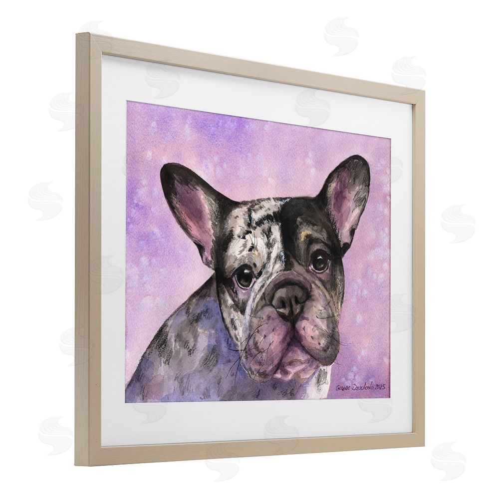 George Dyachenko Harlequin French Bulldog Brown Framed Print Under Glass with Mat Wall Art