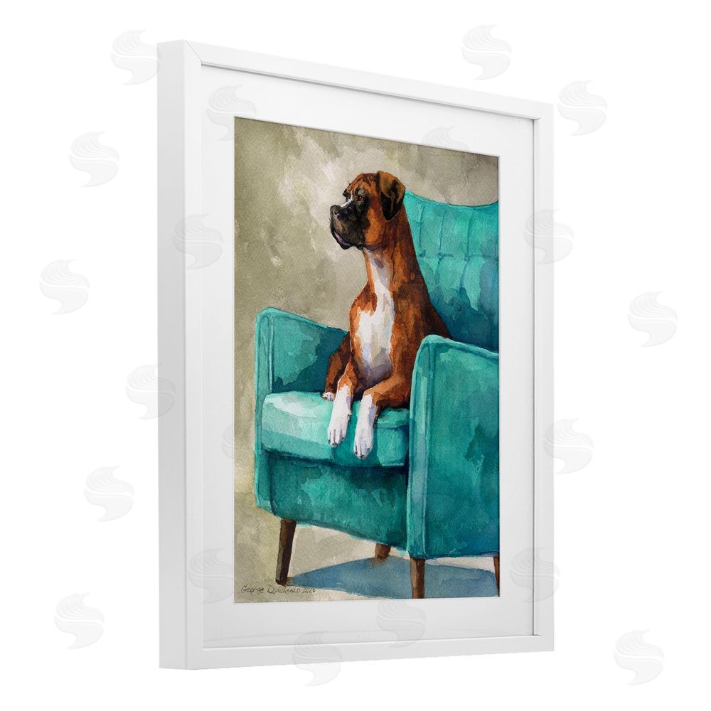 George Dyachenko Majesty Boxer on Armchair White Framed Print Under Glass Wall Art