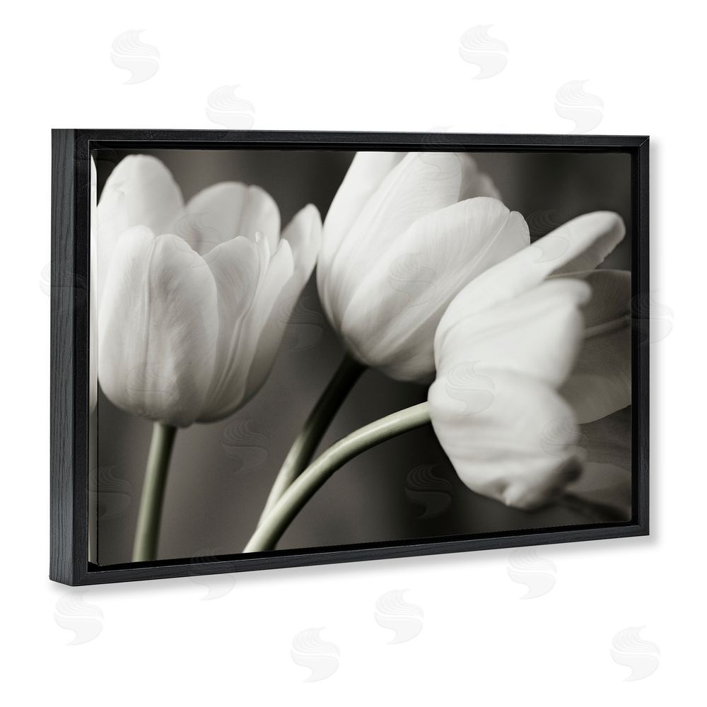Tom Quartermaine Row Of Monochrome Tulips Black Floating Frame Canvas Wall Art Print