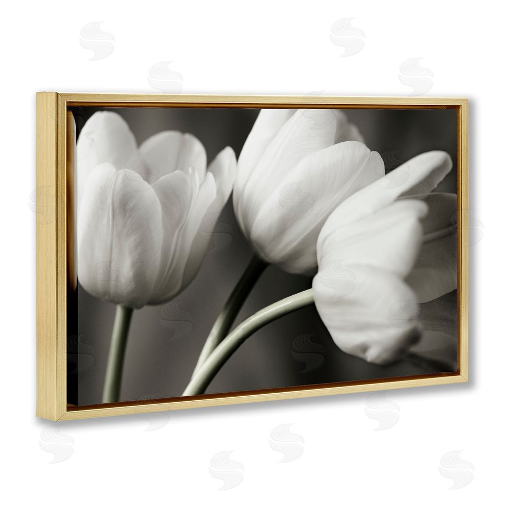 Tom Quartermaine Row Of Monochrome Tulips Gold Floating Frame Canvas Wall Art Print
