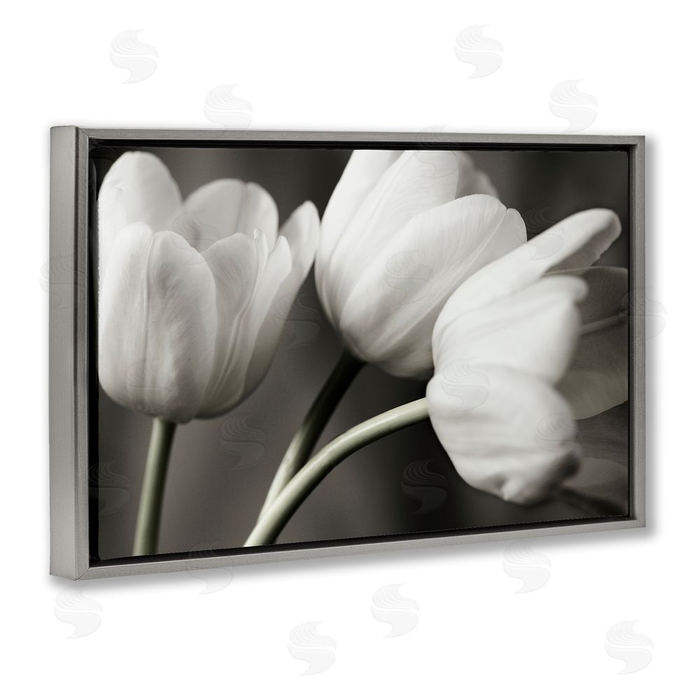 Tom Quartermaine Row Of Monochrome Tulips Gray Floating Frame Canvas Wall Art Print
