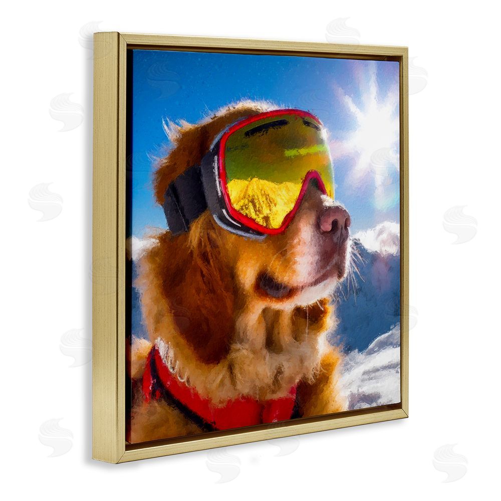 Sean Parnell Ski Goggles Retriever Gold Floating Frame Canvas Wall Art Print