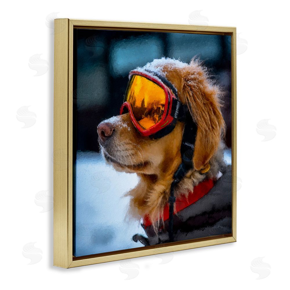 Sean Parnell Ski Goggles Dog Gold Floating Frame Canvas Wall Art Print