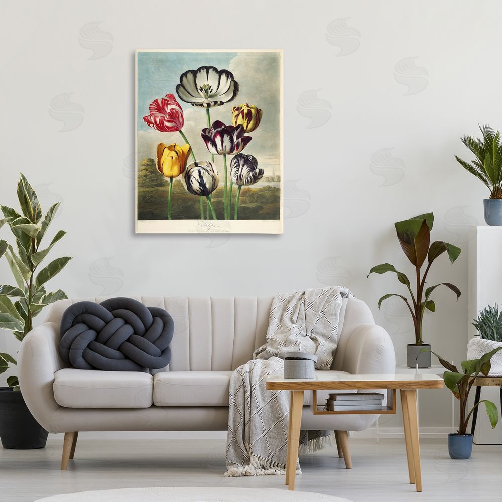 Print Collection Tulips From The Temple 
