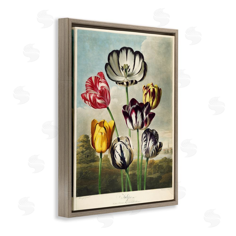 Print Collection Tulips From The Temple Brown Floating Frame Canvas Wall Art Print