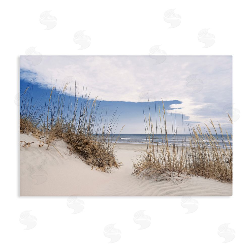 Natalie Carpentieri Sea Oats Along Sandy Dunes Stretched Canvas Wall Art Print
