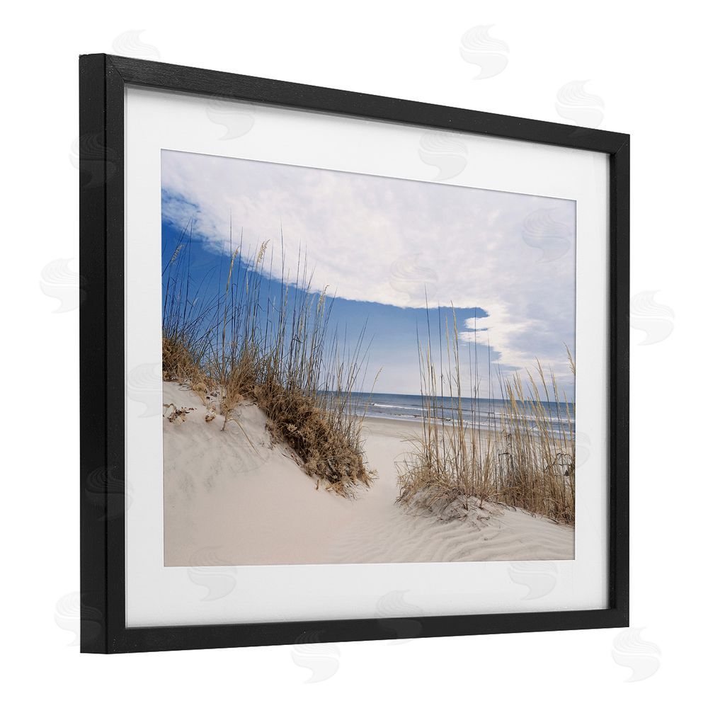 Natalie Carpentieri Sea Oats Along Sandy Dunes Black Framed Print Under Glass Wall Art
