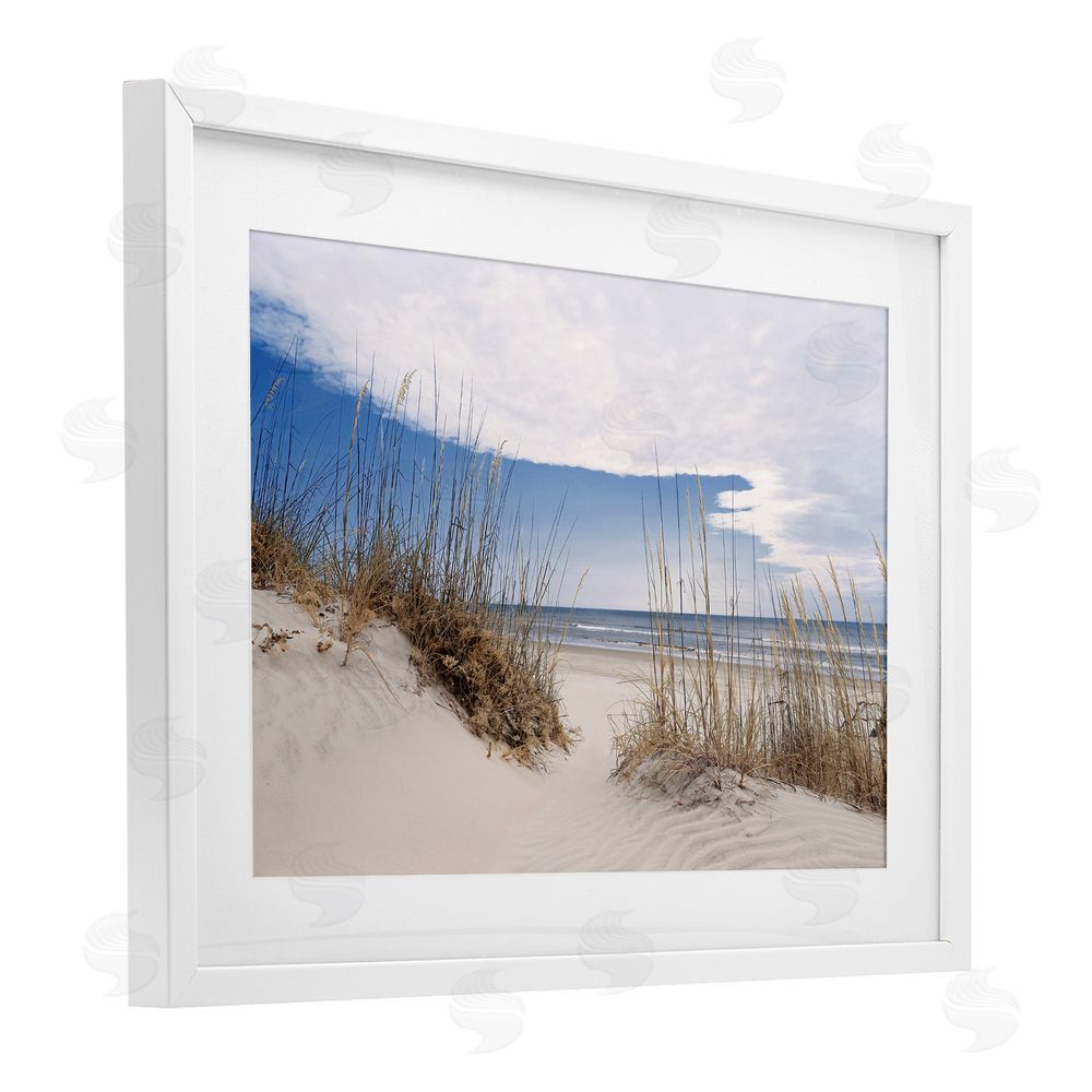 Natalie Carpentieri Sea Oats Along Sandy Dunes White Framed Print Under Glass Wall Art