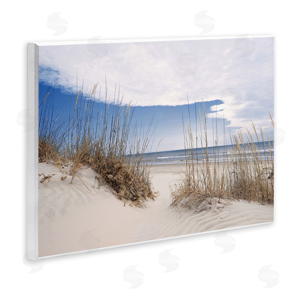 Natalie Carpentieri Sea Oats Along Sandy Dunes Wooden Wall Plaque Art Print
