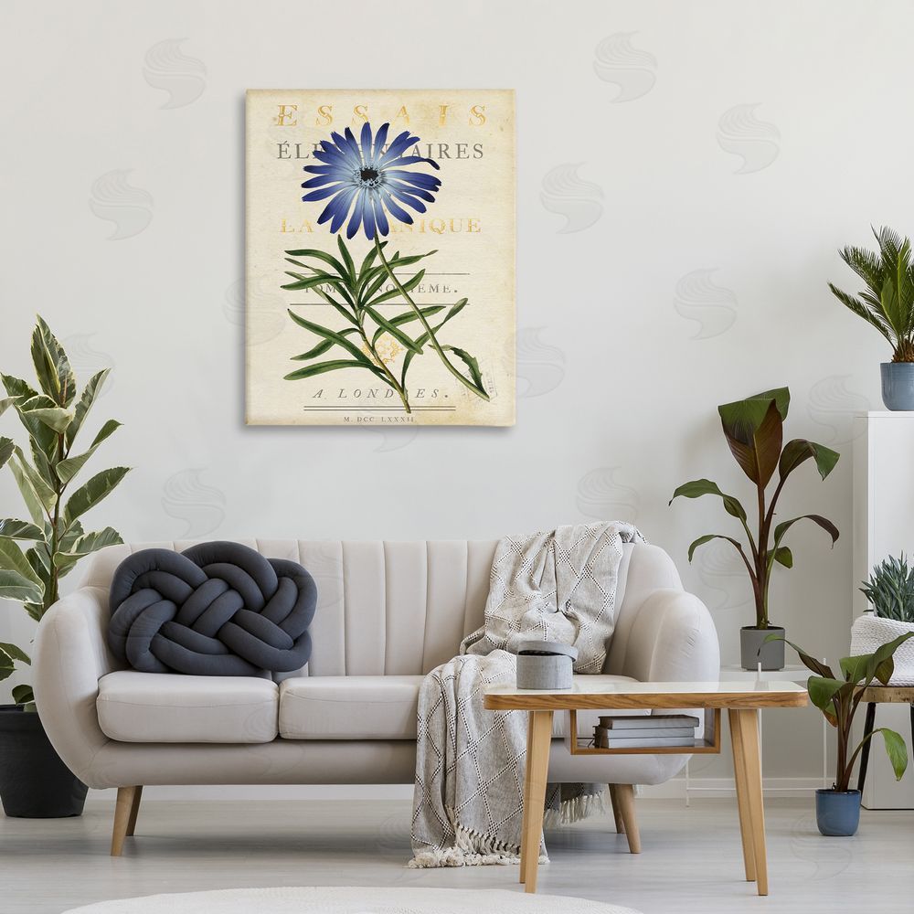 Susan Arnot Natural Botany Daisy 