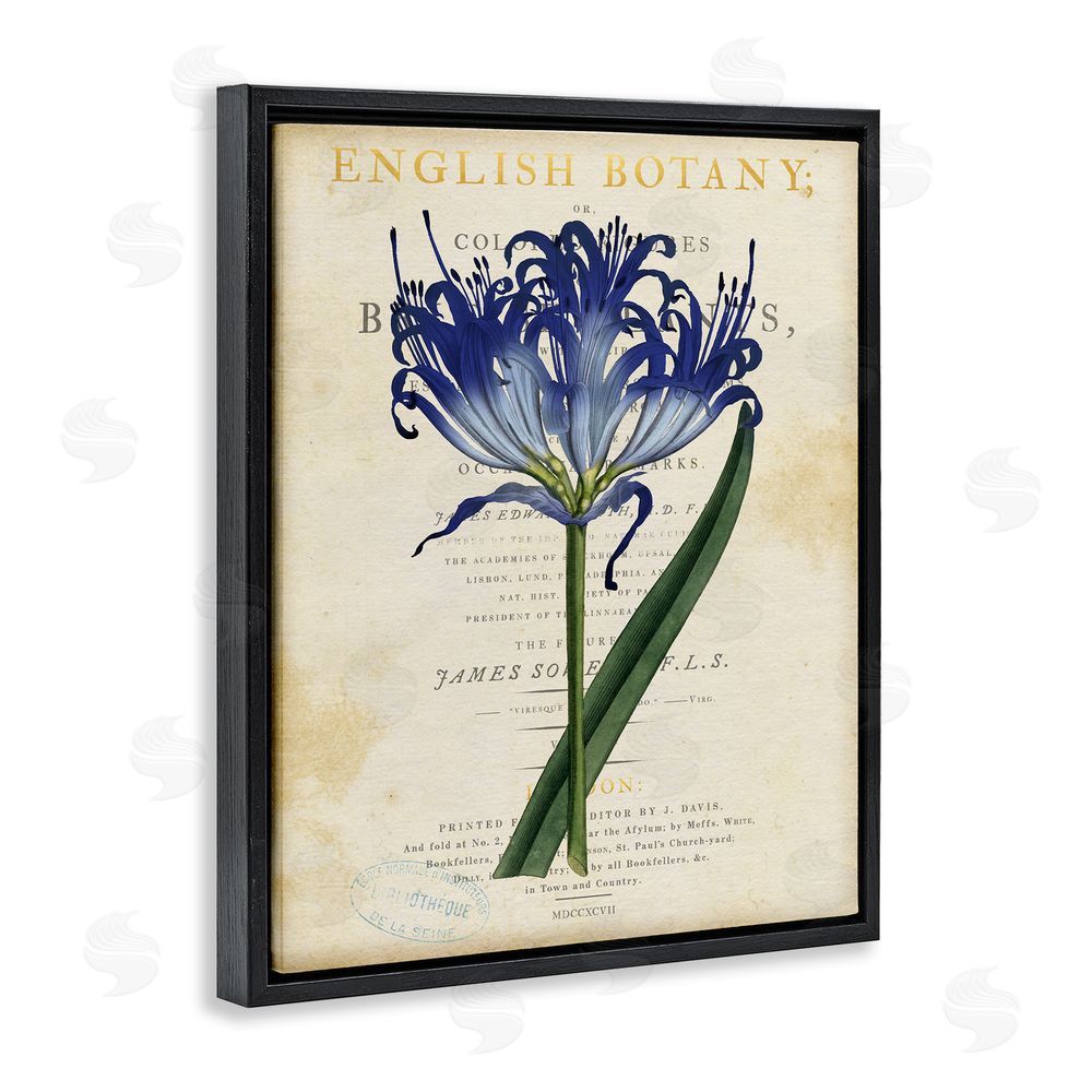 Susan Arnot English Botany Blue Floral Black Floating Frame Canvas Wall Art Print