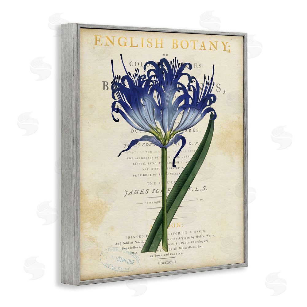 Susan Arnot English Botany Blue Floral Gray Framed Giclee Wall Art Print