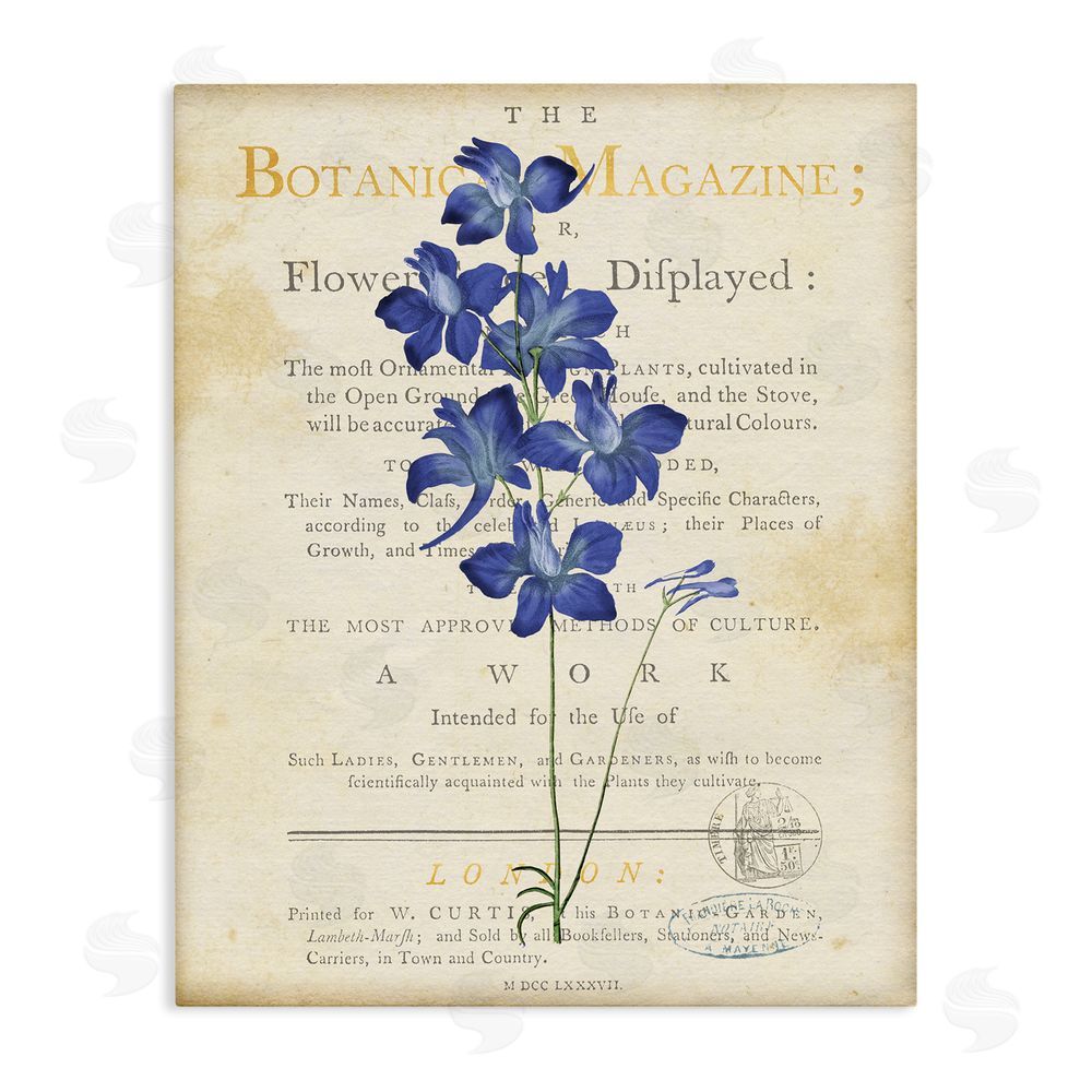 Susan Arnot Natural Botanic Garden Flower Stretched Canvas Wall Art Print