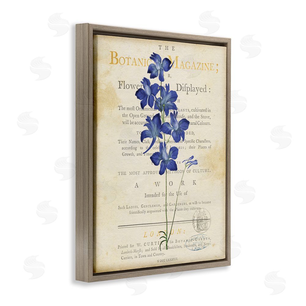 Susan Arnot Natural Botanic Garden Flower Brown Floating Frame Canvas Wall Art Print