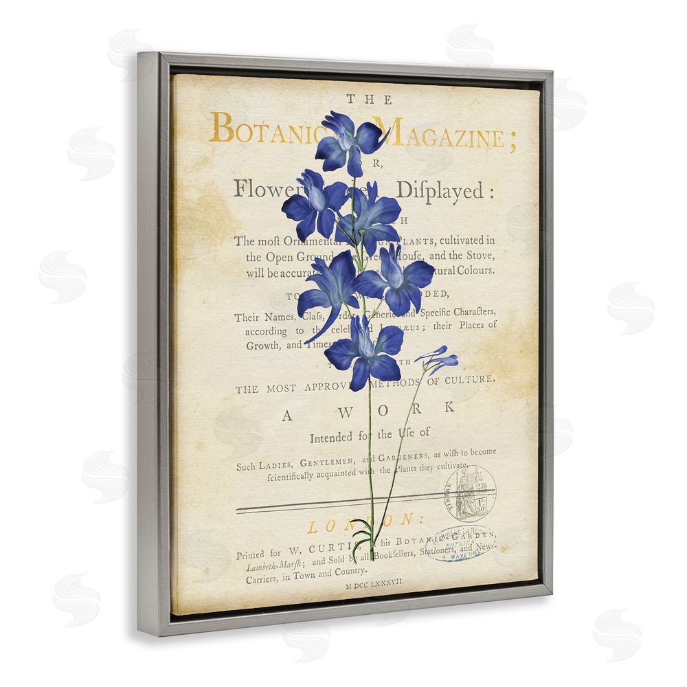 Susan Arnot Natural Botanic Garden Flower Gray Floating Frame Canvas Wall Art Print